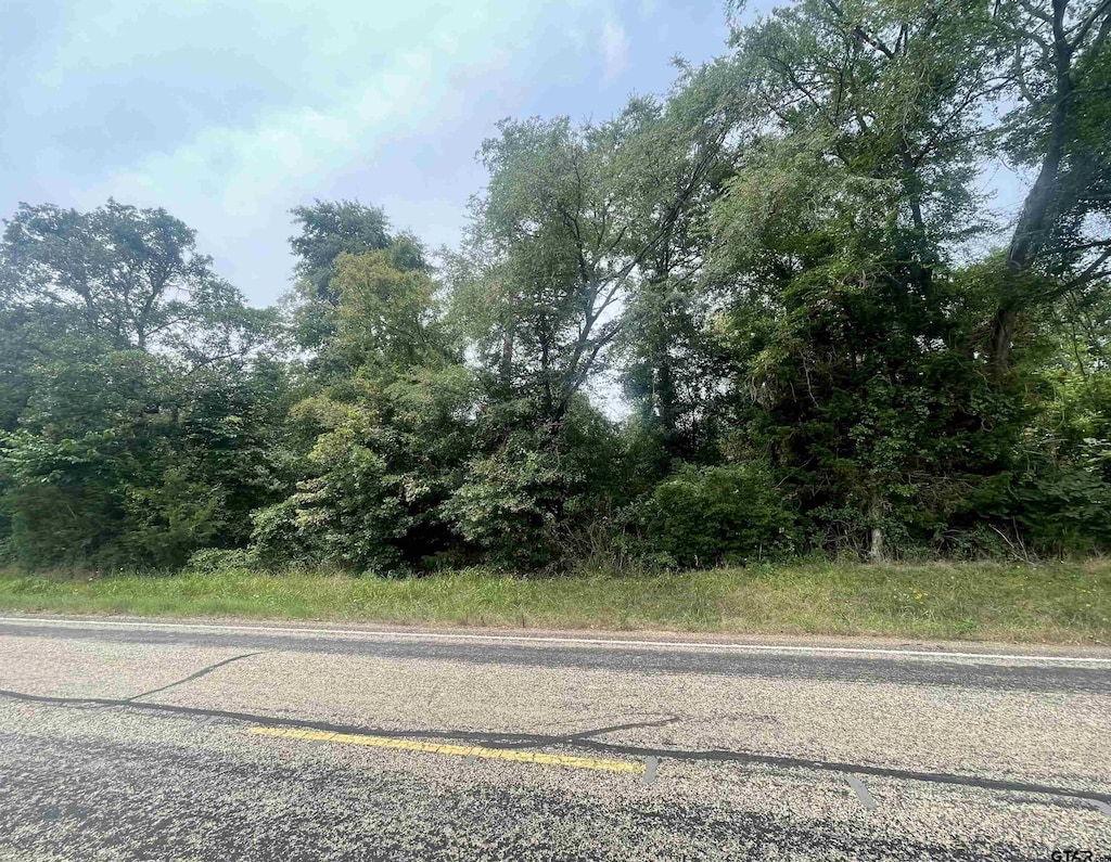 TBD Fm 1519, Pittsburg, TX 75686