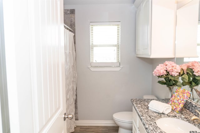 bathroom with walk in shower, wood-type flooring, toilet, and vanity