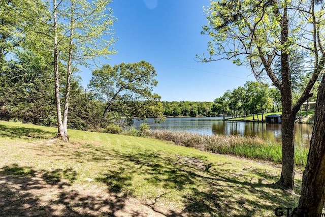 43 Caddo Dr, Elkhart, TX 75839 - photo 29