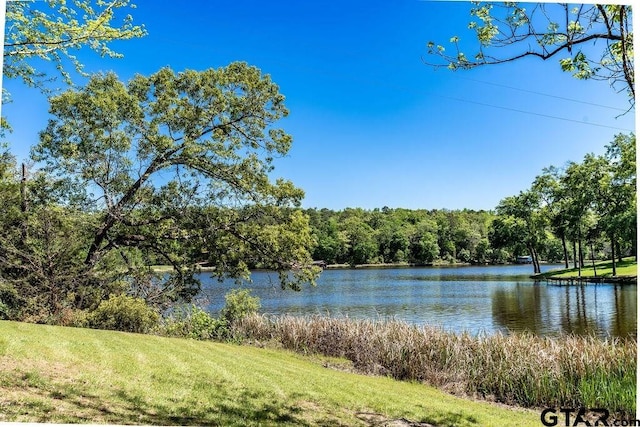 43 Caddo Dr, Elkhart, TX 75839 - photo 28