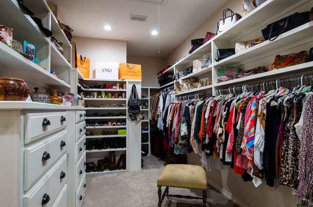 spacious closet with light colored carpet