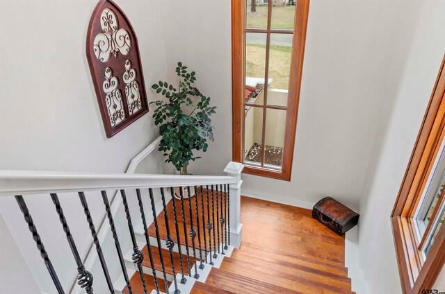 staircase featuring hardwood / wood-style floors