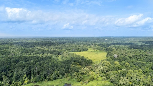TBD Cr 2650, Mineola, TX 75773 - photo 14