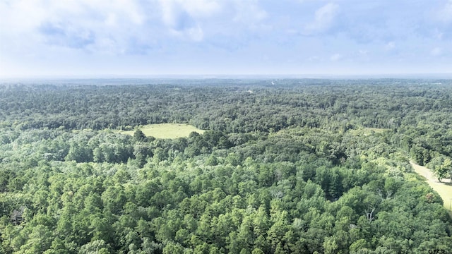 TBD Cr 2650, Mineola, TX 75773 - photo 15