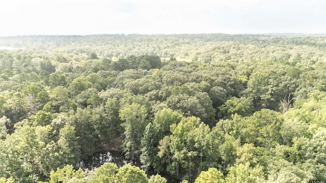 TBD Cr 2650, Mineola, TX 75773 - photo 11