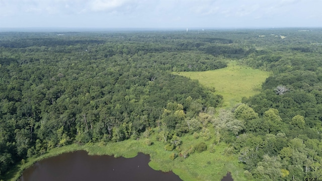 TBD Cr 2650, Mineola, TX 75773 - photo 4