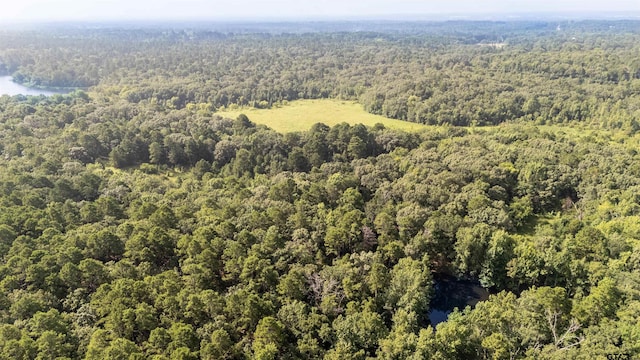 TBD Cr 2650, Mineola, TX 75773 - photo 9