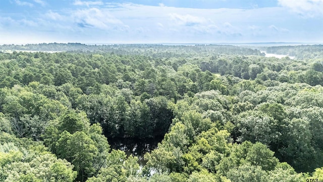 TBD Cr 2650, Mineola, TX 75773 - photo 10