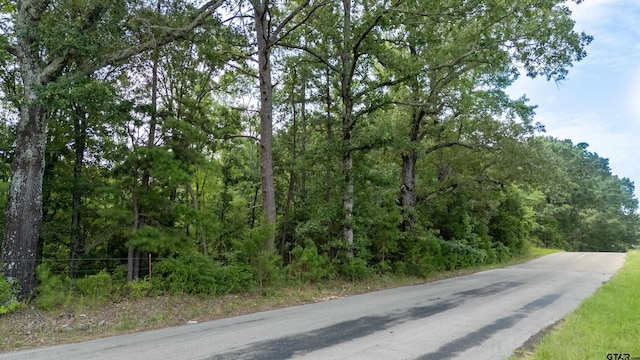 TBD Cr 2650, Mineola, TX 75773 - photo 23