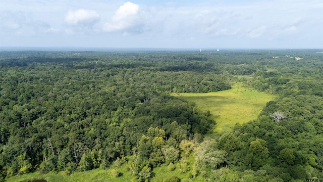TBD Cr 2650, Mineola, TX 75773 - photo 3