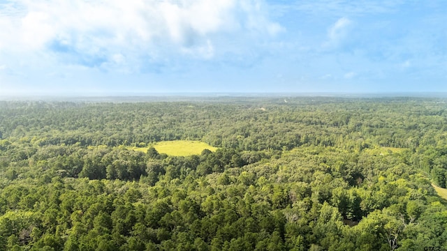 TBD Cr 2650, Mineola, TX 75773 - photo 16