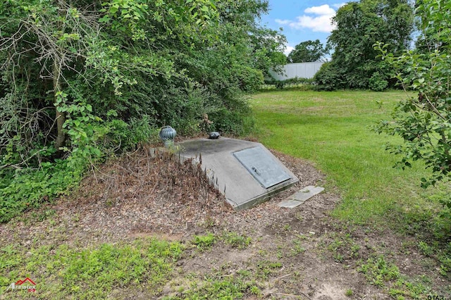 11028 E Fm 2867, Henderson, TX 75654 - photo 11