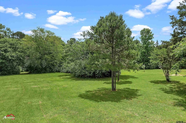 11028 E Fm 2867, Henderson, TX 75654 - photo 17