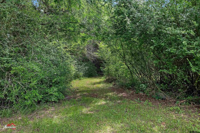 11028 E Fm 2867, Henderson, TX 75654 - photo 18