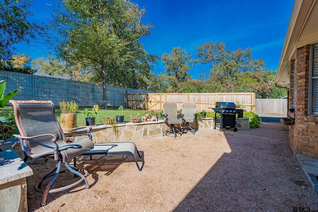 view of yard with a patio area