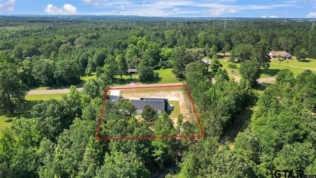 17314 Fm 2767, Tyler, TX 75705 - aerial overview of property's location featuring a heavily wooded area and property boundaries highlighted