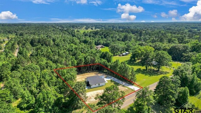 17314 Fm 2767, Tyler, TX 75705 - view of subject property featuring a heavily wooded area and property boundaries highlighted
