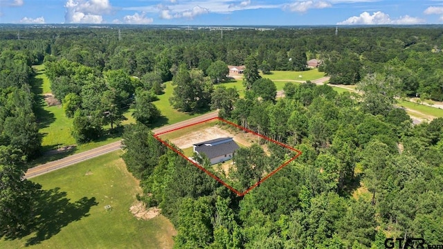 17314 Fm 2767, Tyler, TX 75705 - aerial overview of property's location with a forest and property parcel outlined