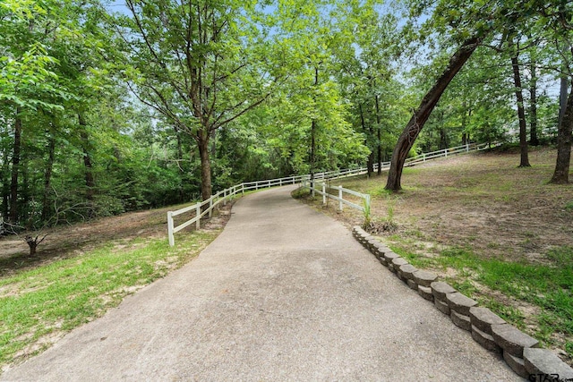 18737 Oakbrook Rd, Tyler, TX 75703 - view of community featuring a view of trees