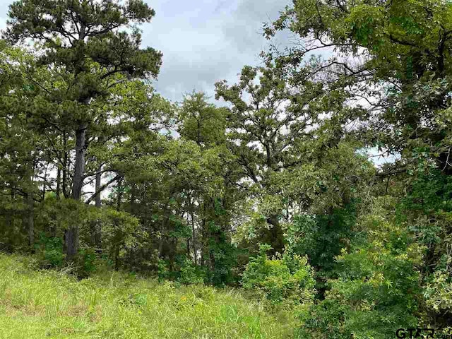 15929 Shepards Gln, Lindale TX, 75771 land for sale