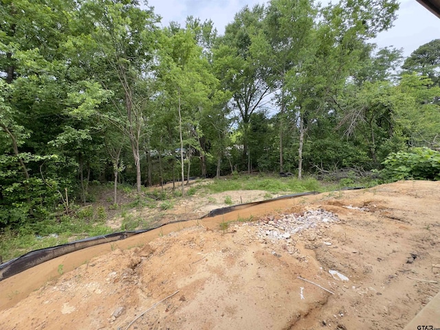 2514 N Glass, Tyler, TX 75702 - view of tree filled area