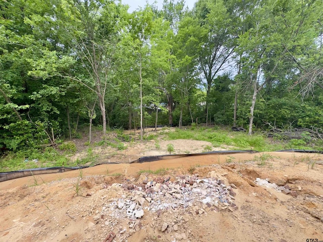 2514 N Glass, Tyler, TX 75702 - view of yard