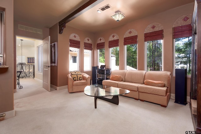 interior space with a wealth of natural light and light carpet