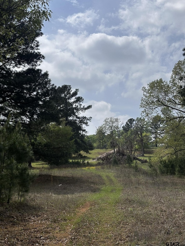 18304 Timber Oaks Dr, Lindale, TX 75771 - photo 2