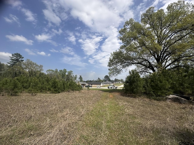 18304 Timber Oaks Dr, Lindale, TX 75771 - photo 4