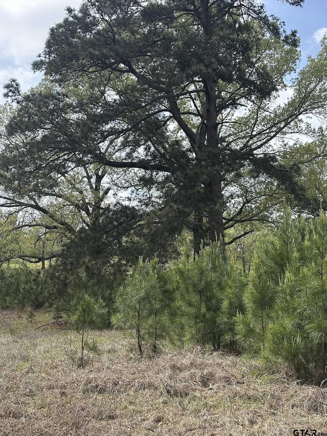 18304 Timber Oaks Dr, Lindale, TX 75771 - photo 6