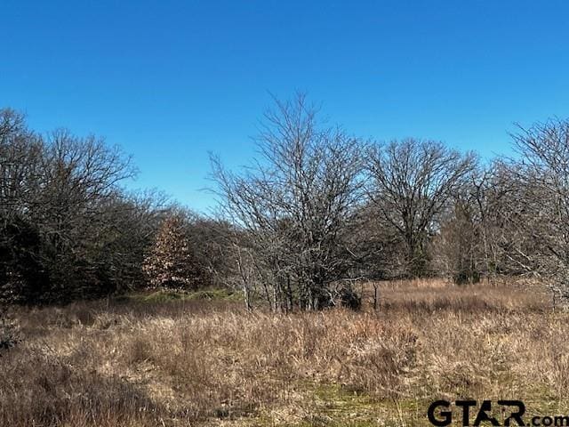 TBD County Road 2813, Eustace, TX 75124 - photo 3