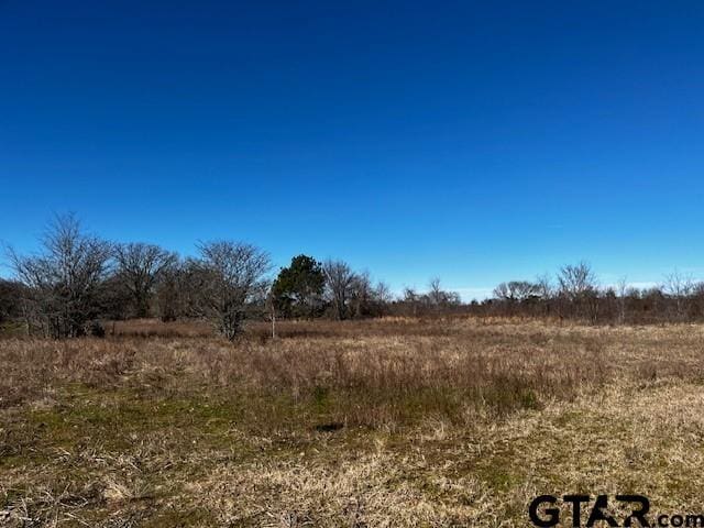 TBD County Road 2813, Eustace, TX 75124 - photo 1