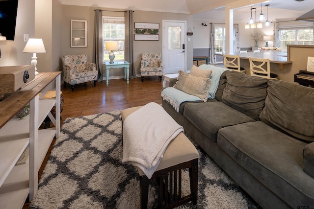 living area with a wealth of natural light, baseboards, ornamental molding, and dark wood-type flooring