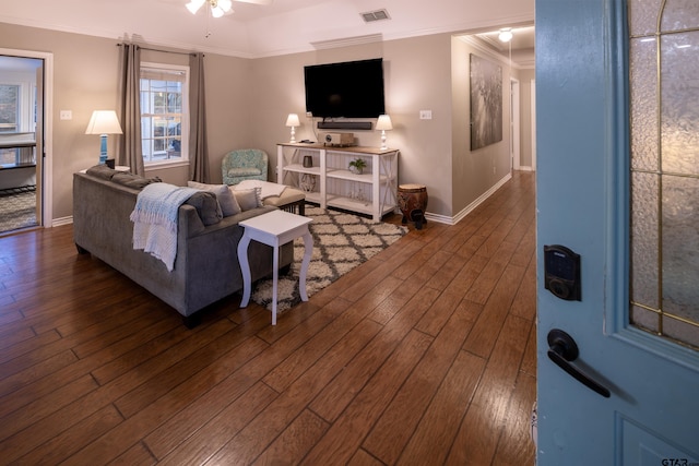 living area featuring crown molding, visible vents, ceiling fan, and dark wood-style flooring