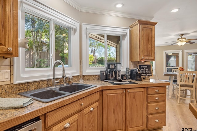 kitchen with ceiling fan, sink, light hardwood / wood-style flooring, and crown molding