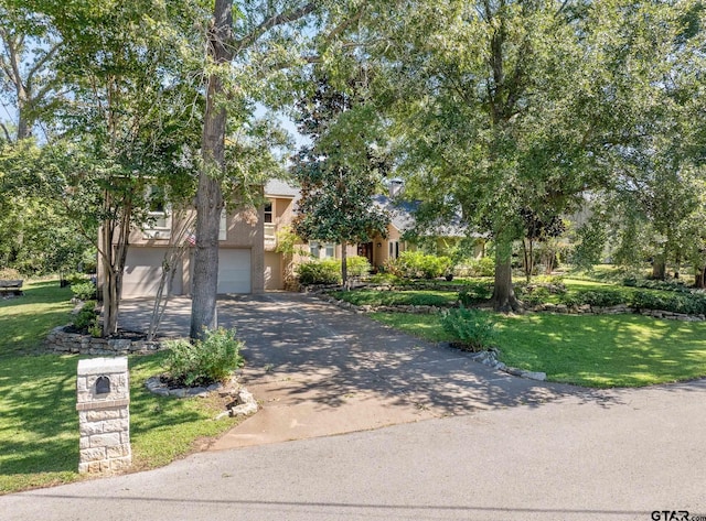 view of property hidden behind natural elements with a garage and a front yard