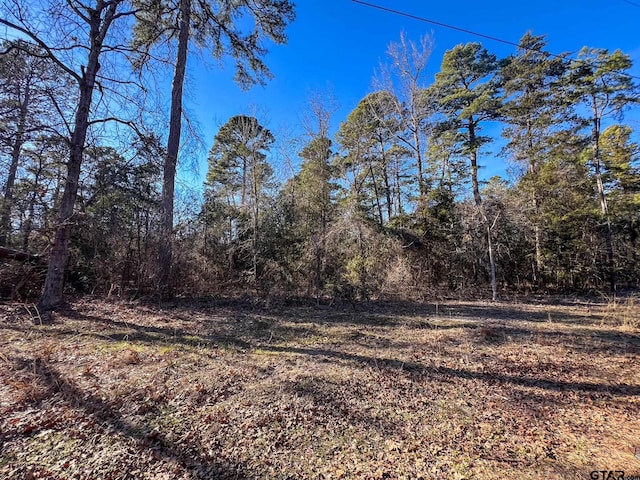 Listing photo 3 for LOT336 King Bernard, Scroggins TX 75480