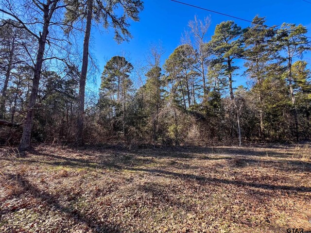 Listing photo 3 for LOT336 King Bernard, Scroggins TX 75480