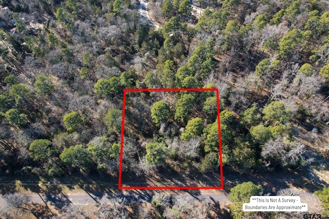 Listing photo 2 for LOT336 King Bernard, Scroggins TX 75480