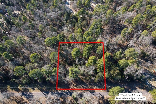 Listing photo 2 for LOT336 King Bernard, Scroggins TX 75480