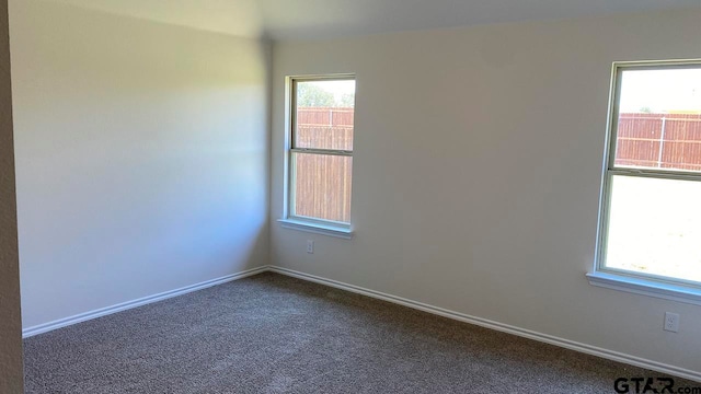 carpeted empty room featuring a wealth of natural light