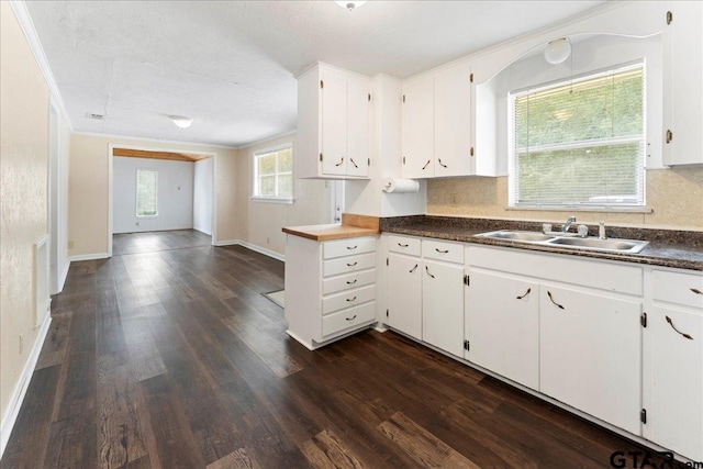 kitchen featuring white cabinets, crown molding, dark hardwood / wood-style flooring, and sink