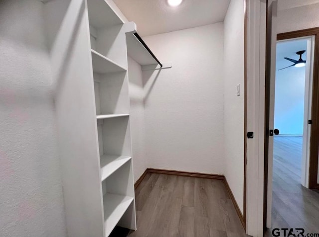 walk in closet featuring light hardwood / wood-style flooring and ceiling fan