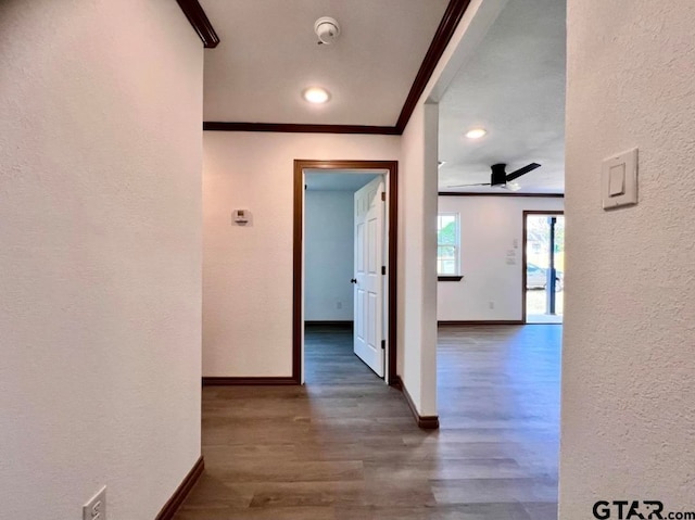 hallway featuring dark hardwood / wood-style floors and ornamental molding