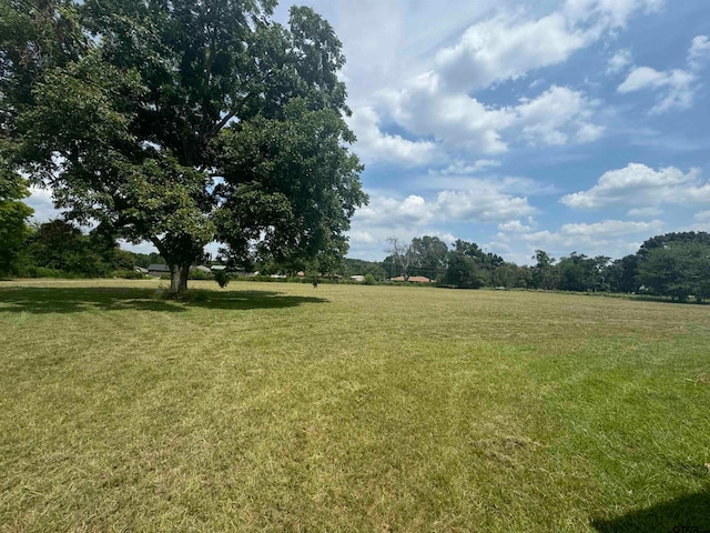 Listing photo 2 for TBD Fm 1254, Mineola TX 75773