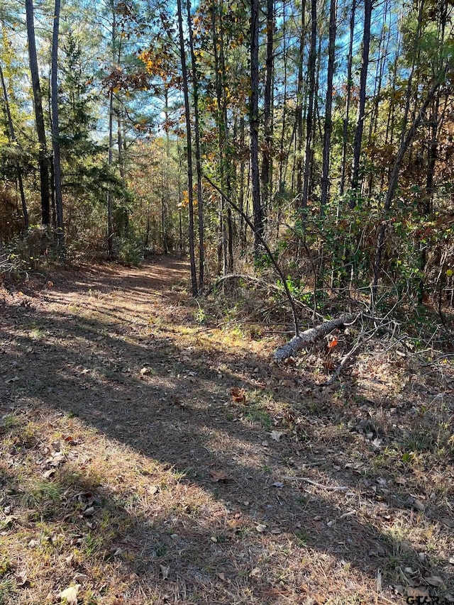 331 Red Maple Rd, Gilmer TX, 75644 land for sale