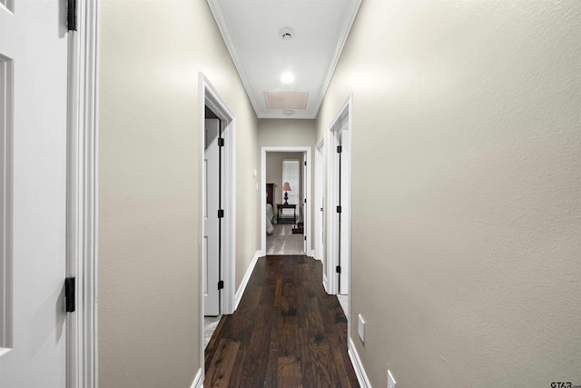 hall featuring ornamental molding and dark wood-type flooring