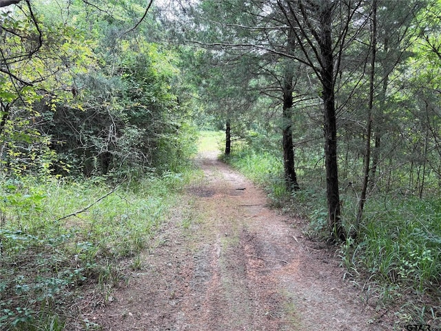 170 County Road 4823, Sulphur Springs, TX 75482 - photo 37