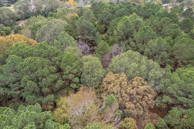 drone / aerial view with a wooded view
