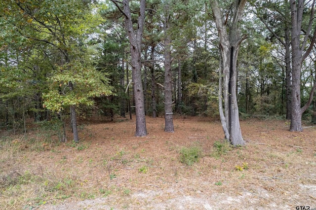 view of nature with a view of trees